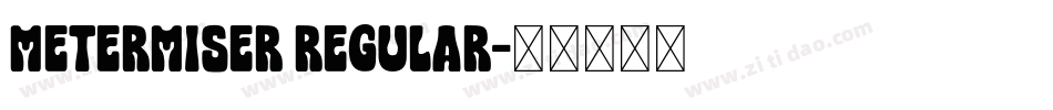 Metermiser Regular字体转换